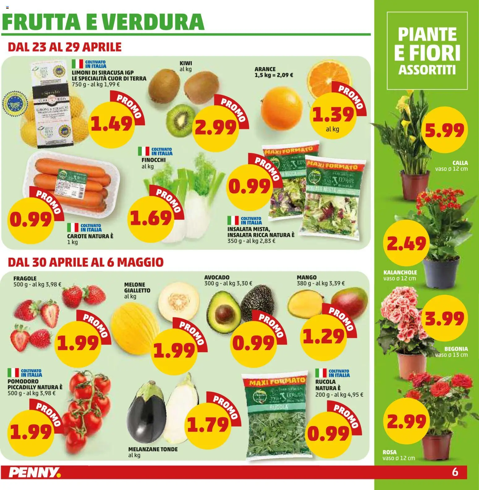 Volantino PENNY del 23.04.2026 | Pagina: 6 | Prodotti: Rucola, Fragole, Avocado, Melone