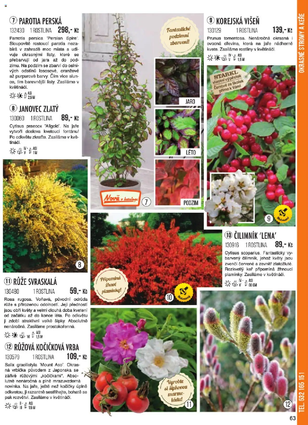 Starkl katalog jaro 2024 od 06.01.2025 | Strana: 63 | Produkty: Rostliny