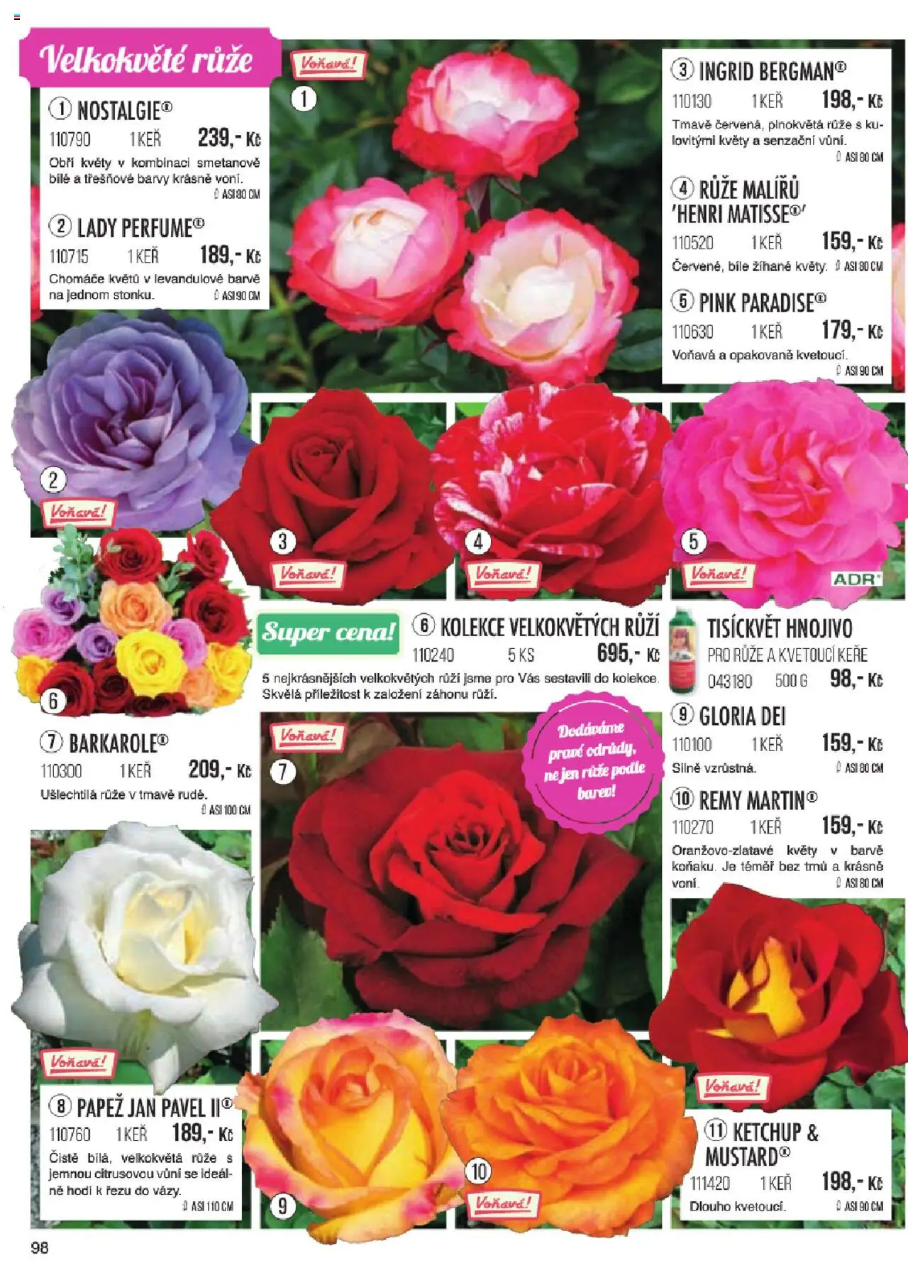 Starkl katalog jaro 2024 od 06.01.2025 | Strana: 98 | Produkty: Vázy, Hnojivo, Barvy