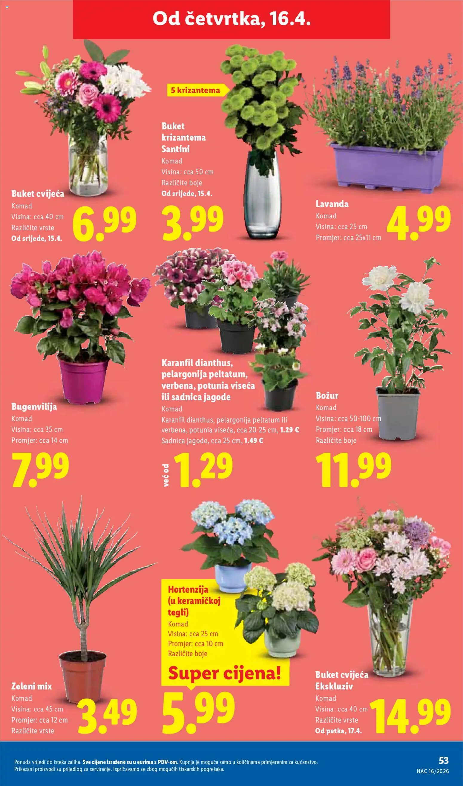 Lidl katalog | vrijedi od 13.04.2026 | Stranica: 53 | Proizvodi: Jagode