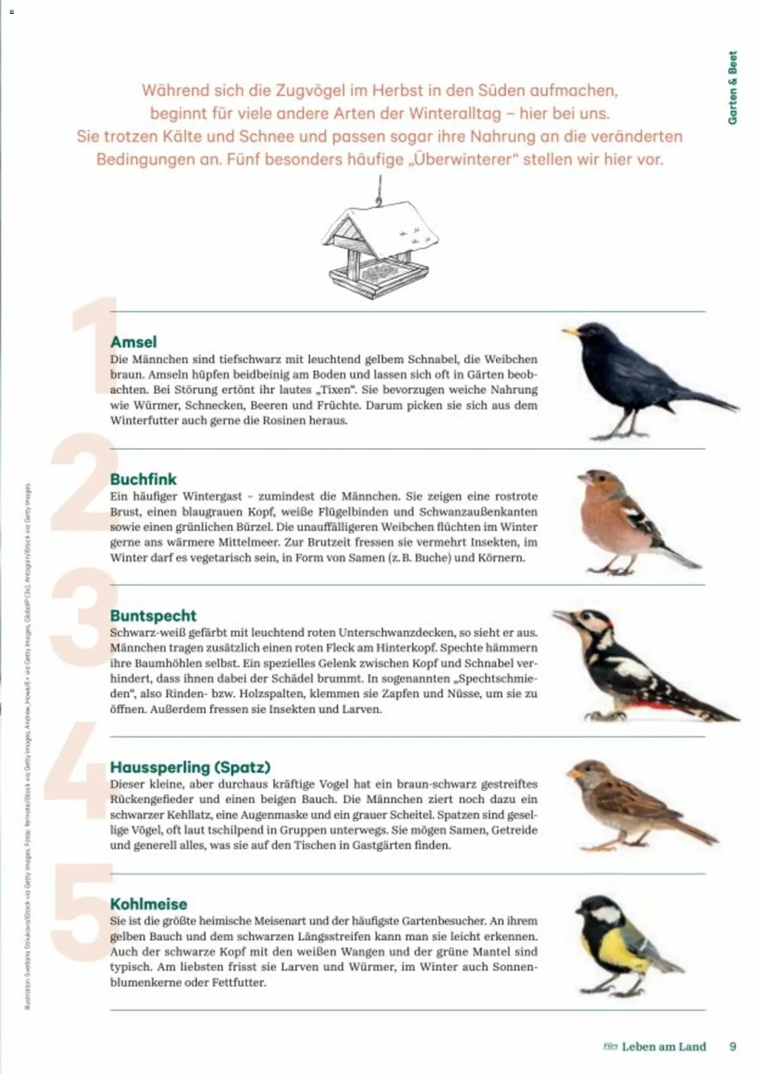 Lagerhaus Fürs Leben am Land gültig ab 01.11.2025 | Seite: 9