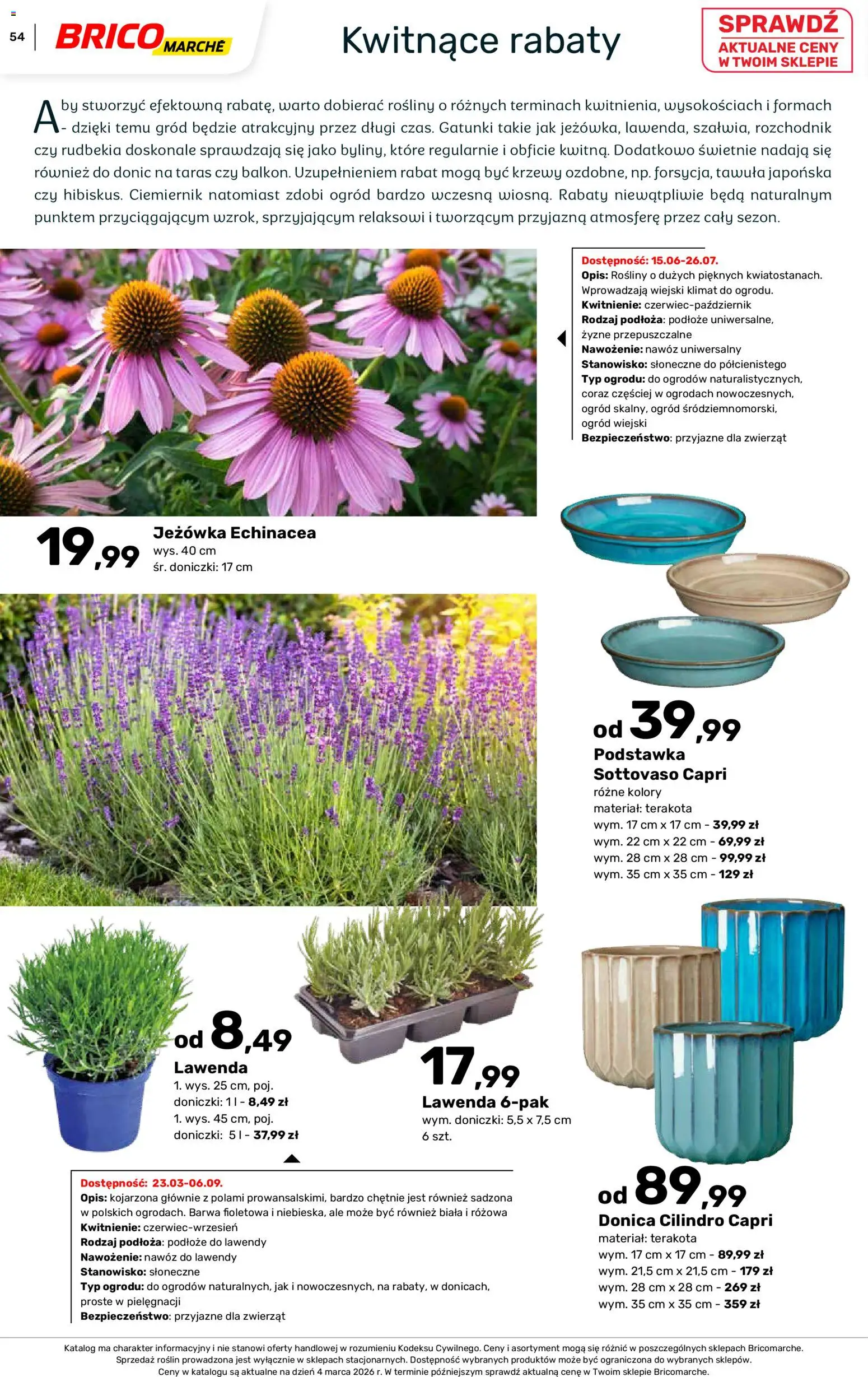 Brico Marché gazetka - Wiosna od 04.03.2026 | Strona: 54 | Produkty: Rosliny, Doniczki