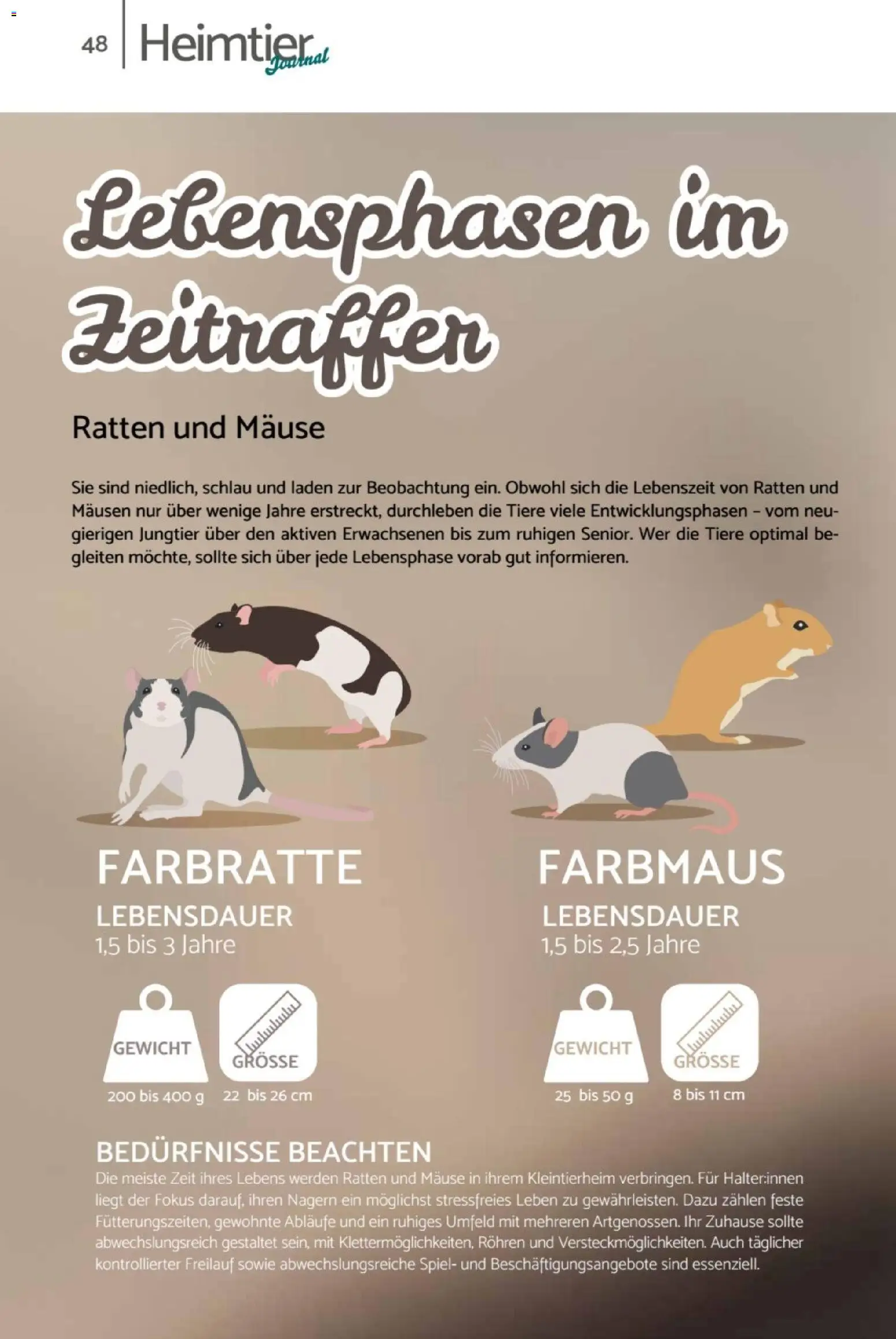 zookauf  Heimtier Journal – gültig ab 01.02.2026 | Seite: 48 | Produkte: Spiel, Gewicht