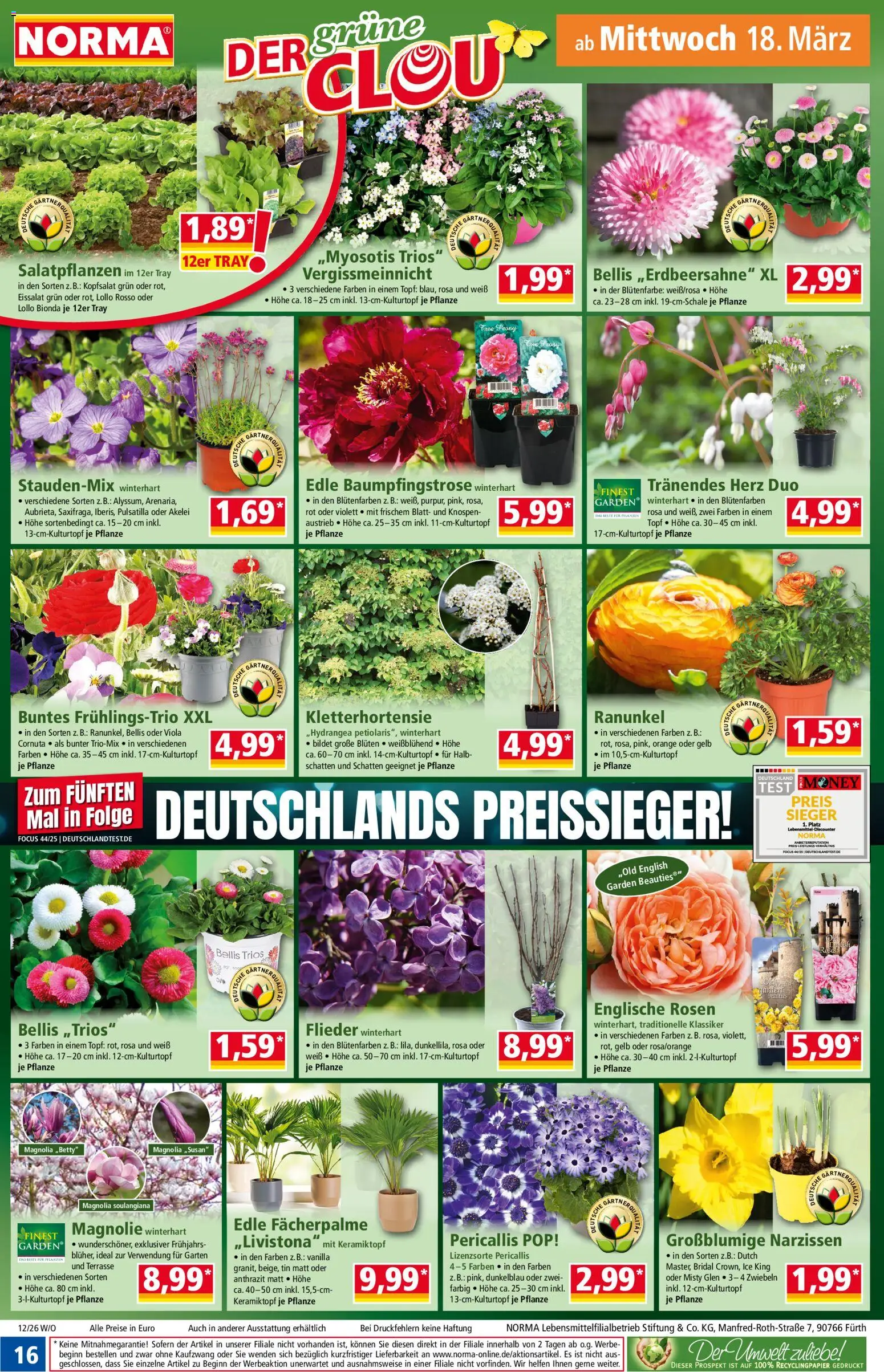 Norma Prospekt 	 – gültig ab 16.03.2026 | Seite: 16 | Produkte: Eissalat, Zwiebeln