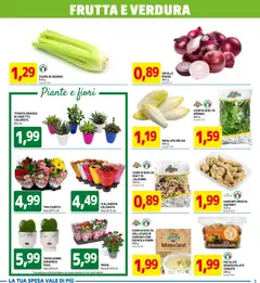Anteprima del volantino D Più volantino valido a partire dal 05.03.2026 | Pagina: 3 | Prodotti: Insalata, Patate, Olive, Vaso