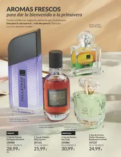 Vista previa Eau de Toilette Full Speed Quantum, notas de ozono, geranio, aceite de madera de cedro válido desde el 01.03.2026 | Página: 94 | Productos: Eau de toilette, Aceite, Ginebra, Eau de parfum