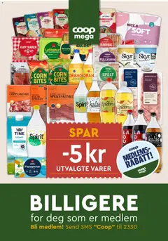 Forhåndsvisning av Coop Mega kundeavis gyldig fra 26.01.2026 | Side: 17