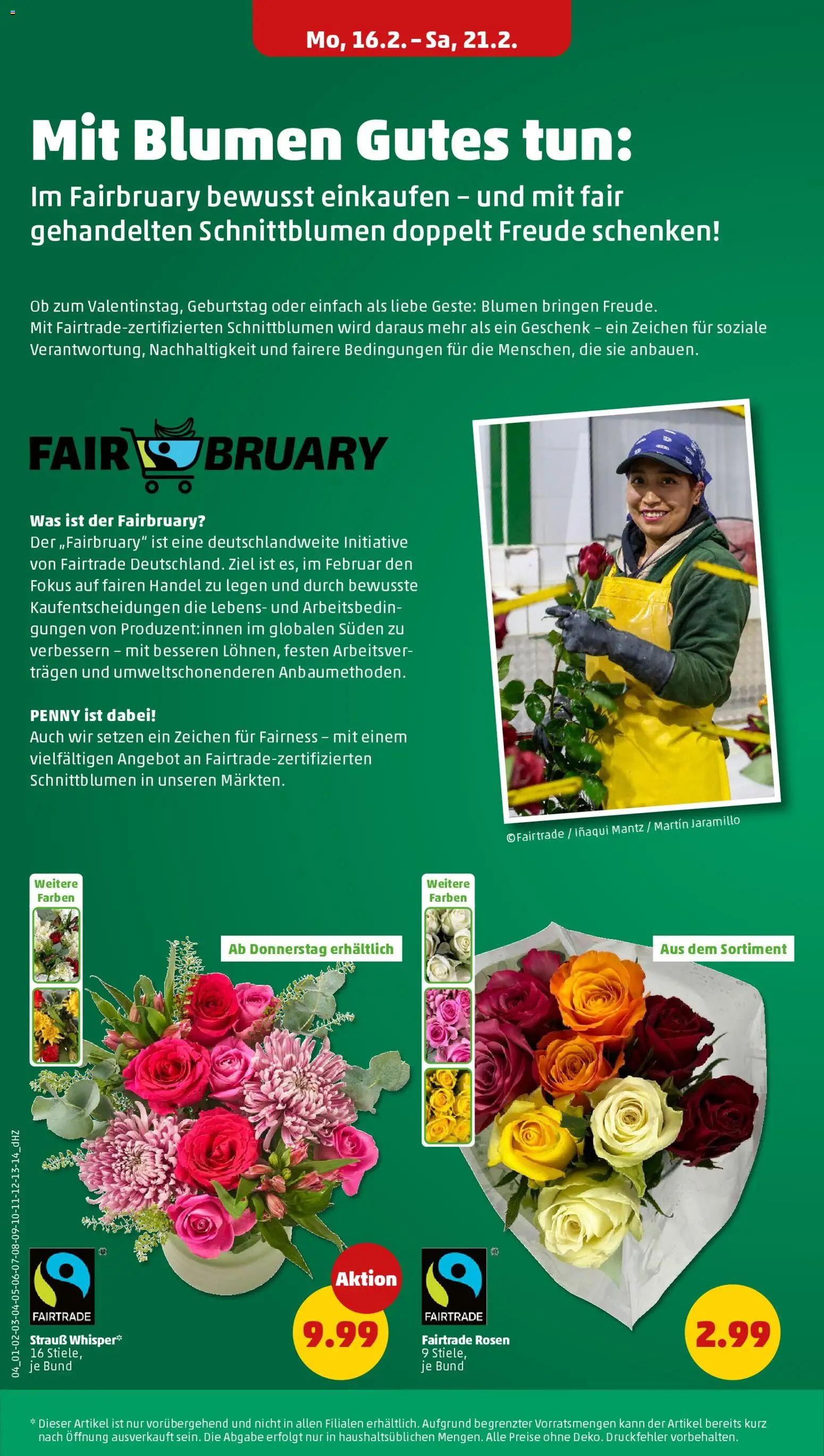 Penny Prospekt 	 – gültig ab 16.02.2026 | Seite: 6 | Produkte: Blumen