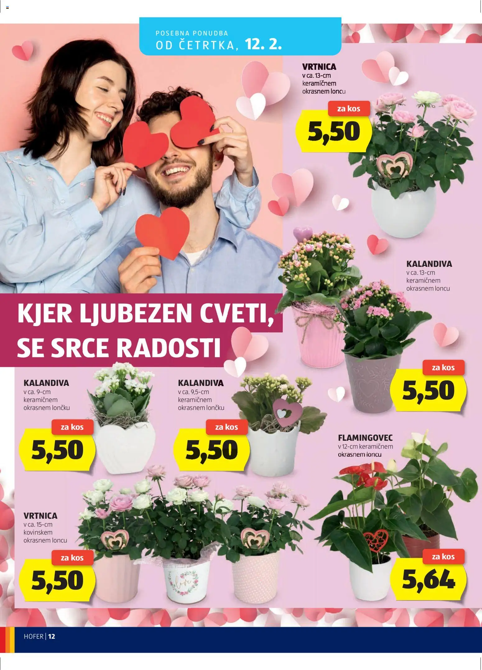 Novi Hofer katalog ponudbe – veljaven od 04.02.2026 | Stran: 12 | Izdelki: Kos