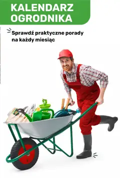 Pogląd oferty "Brico Marché gazetka - Wiosna" - ważna od 04.03.2026 | Strona: 121 | Produkty: Kalendarz