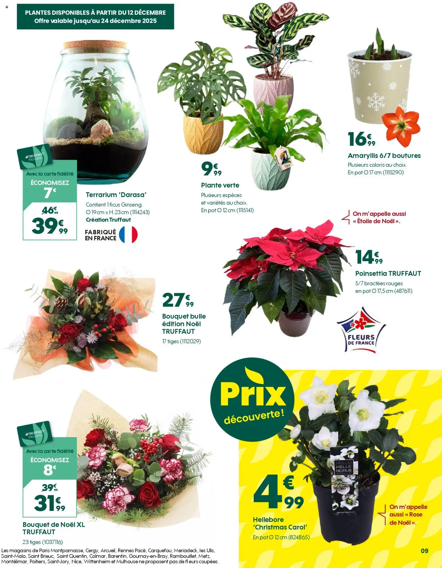 {H1} | Page: 9 | Produits: Poinsettia, Plantes, Plante verte
