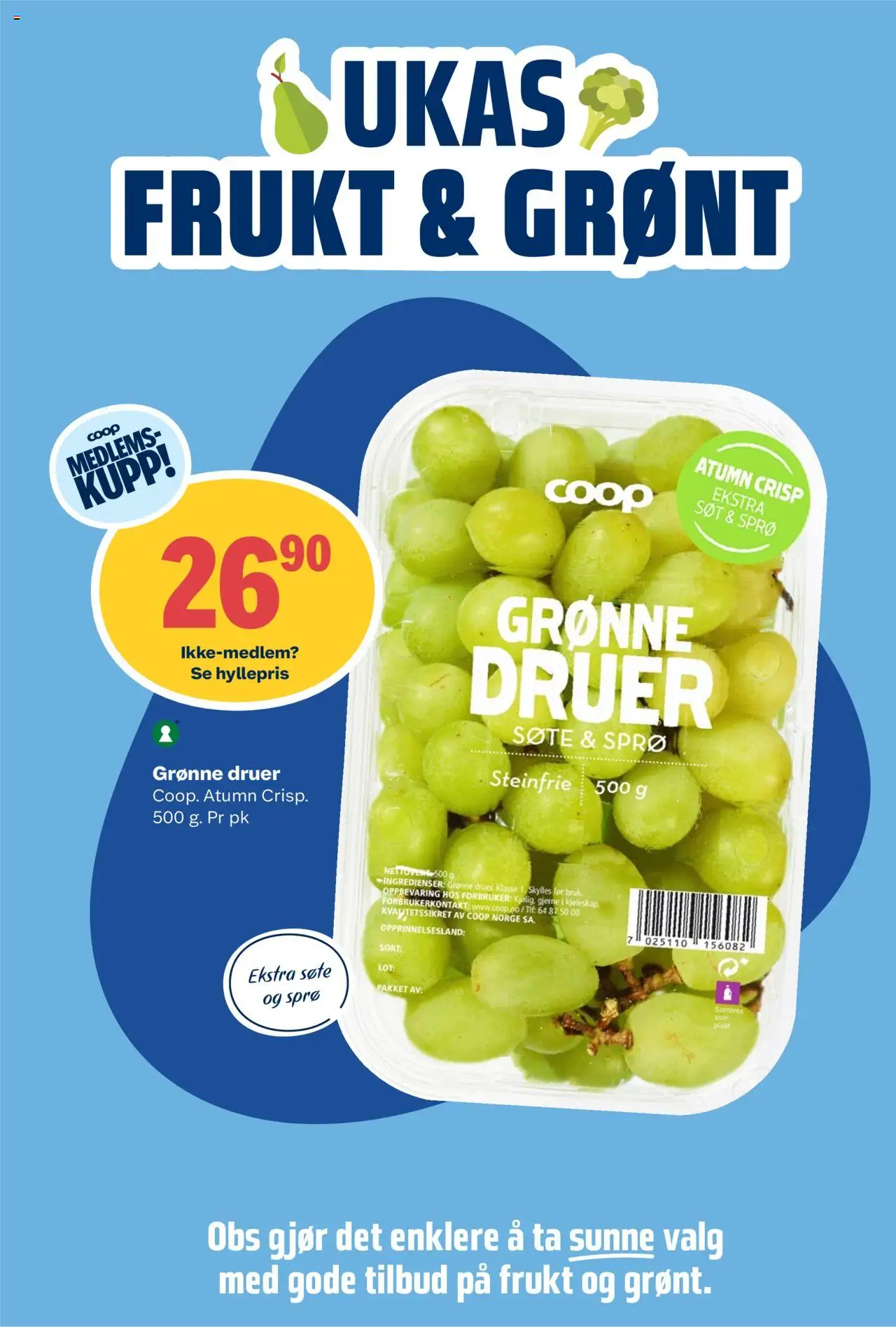  | Side: 6 | Produkter: Druer, Strandväska