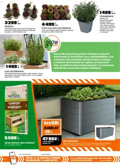 OBI akciós újság - amely érvényes a következő dátumtól: 31.03.2026 | Oldal: 6 | Termékek: Petrezselyem, Magaságyás, Kaspó