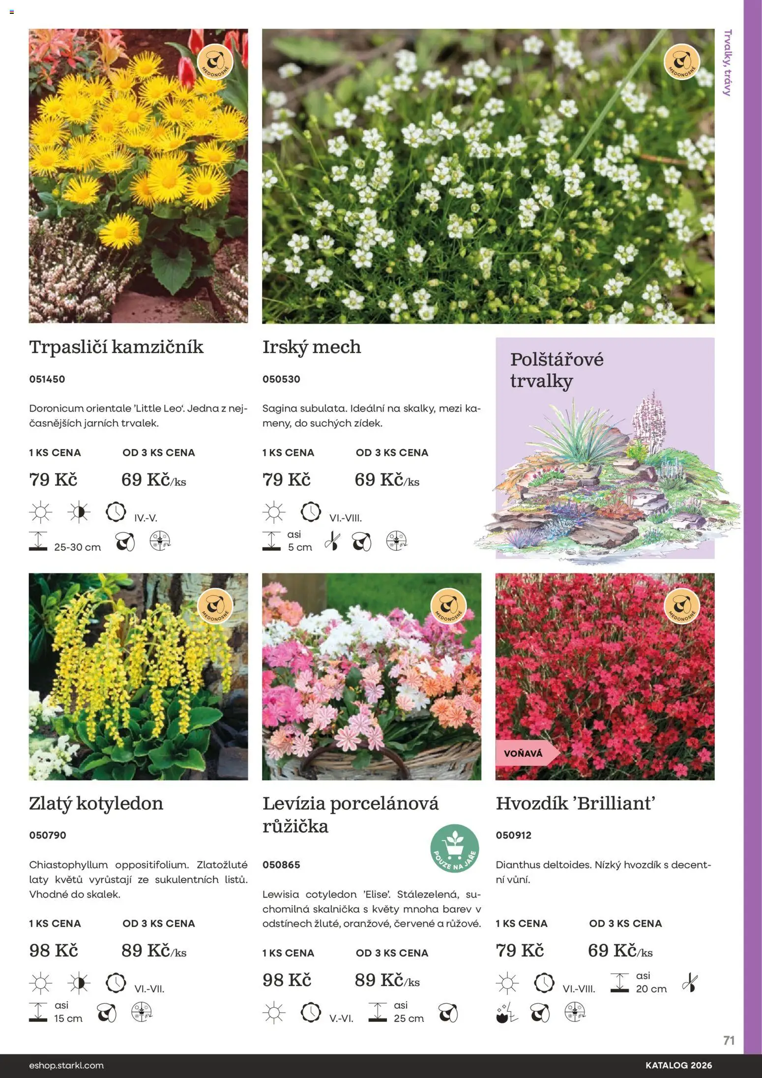 Starkl katalog od 25.02.2026 | Strana: 71