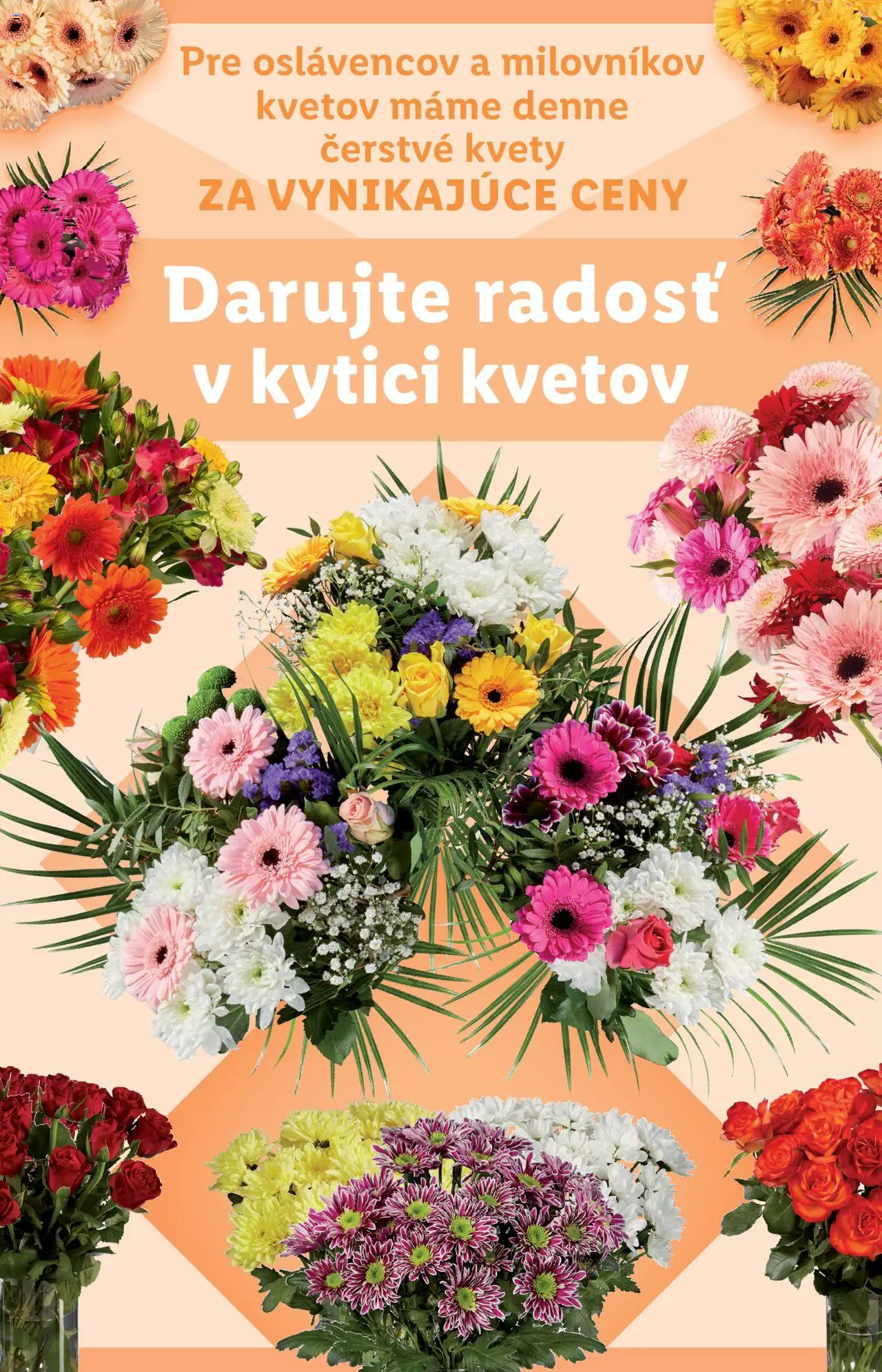 Nové Lidl akcie – leták je platný od 29.09.2025 | Strana: 47 | Produkty: Kvety