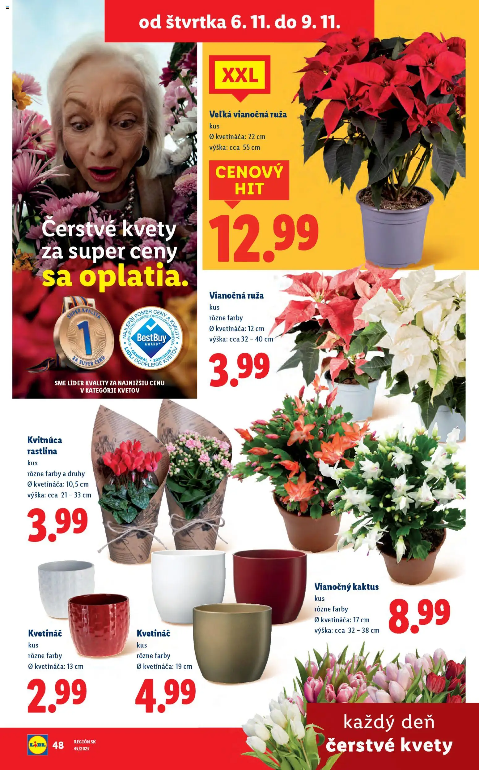 Nové Lidl akcie – leták je platný od 06.11.2025 | Strana: 33 | Produkty: Kvetináč, Kvety
