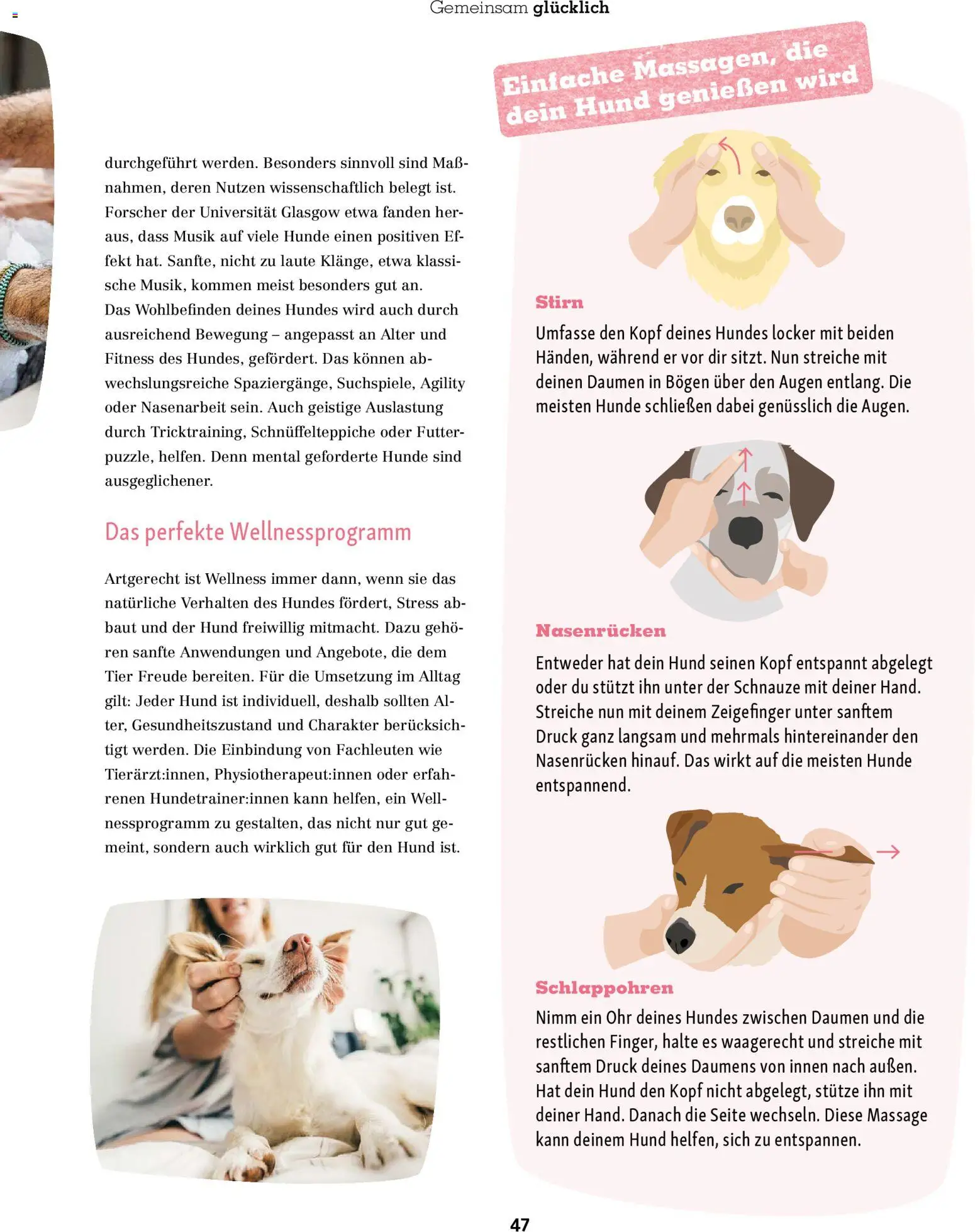 Fressnapf Friends Magazin – gültig ab 01.11.2025 | Seite: 47