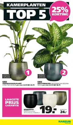 Ranzijn - Folder - Voorbeeld van een folder van Ranzijn, geldig van 04.01.2026 | Pagina: 2 | Producten: Pot, Kamerplanten