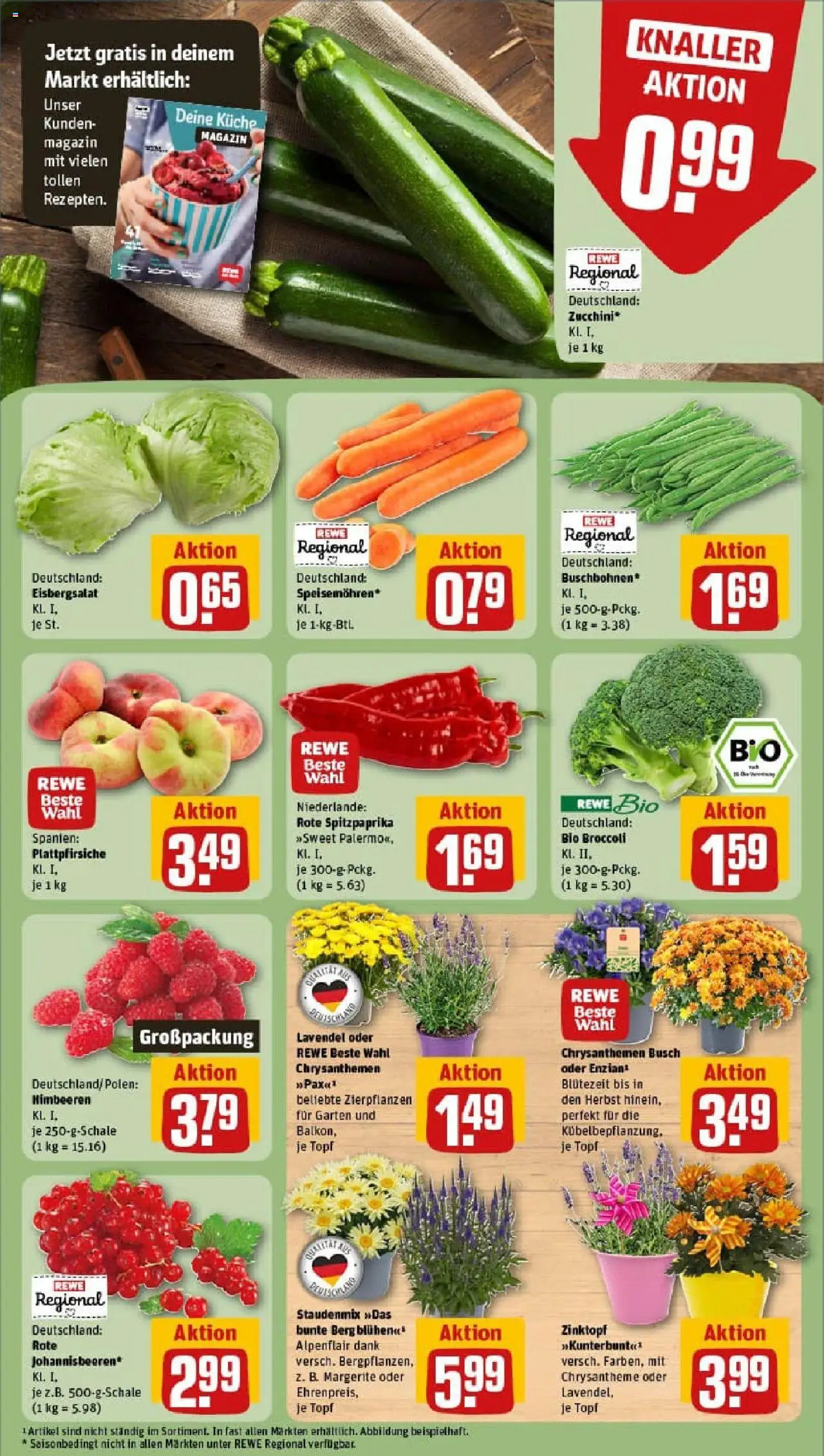 Rewe prospekt Waldkappel	 - gültig ab dem 20.07.2025 | Seite: 7 | Produkte: Himbeeren, Küche, Zucchini, Lavendel