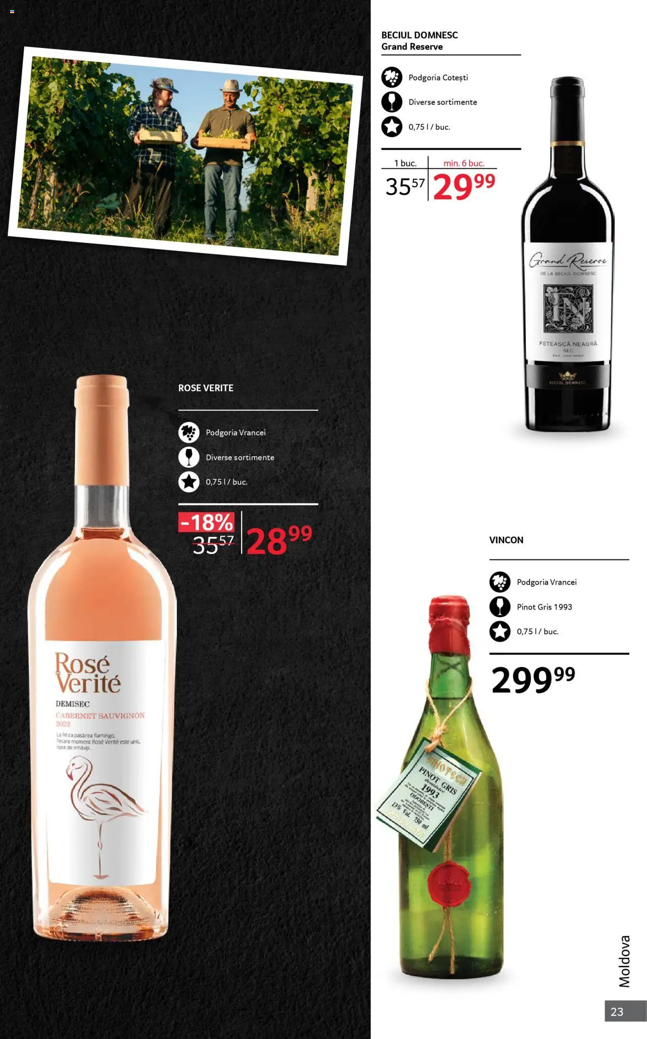 Noul catalog Selgros – valabil de la 01.10.2025 | Pagină: 23