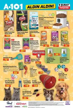 05.02.2026 tarihinden itibaren geçerli olan A101 kataloğu önizlemesi | Sayfa: 11