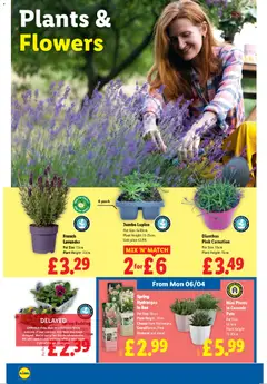 Preview of Lidl - Easter valid from 02.04.2026 | Page: 30