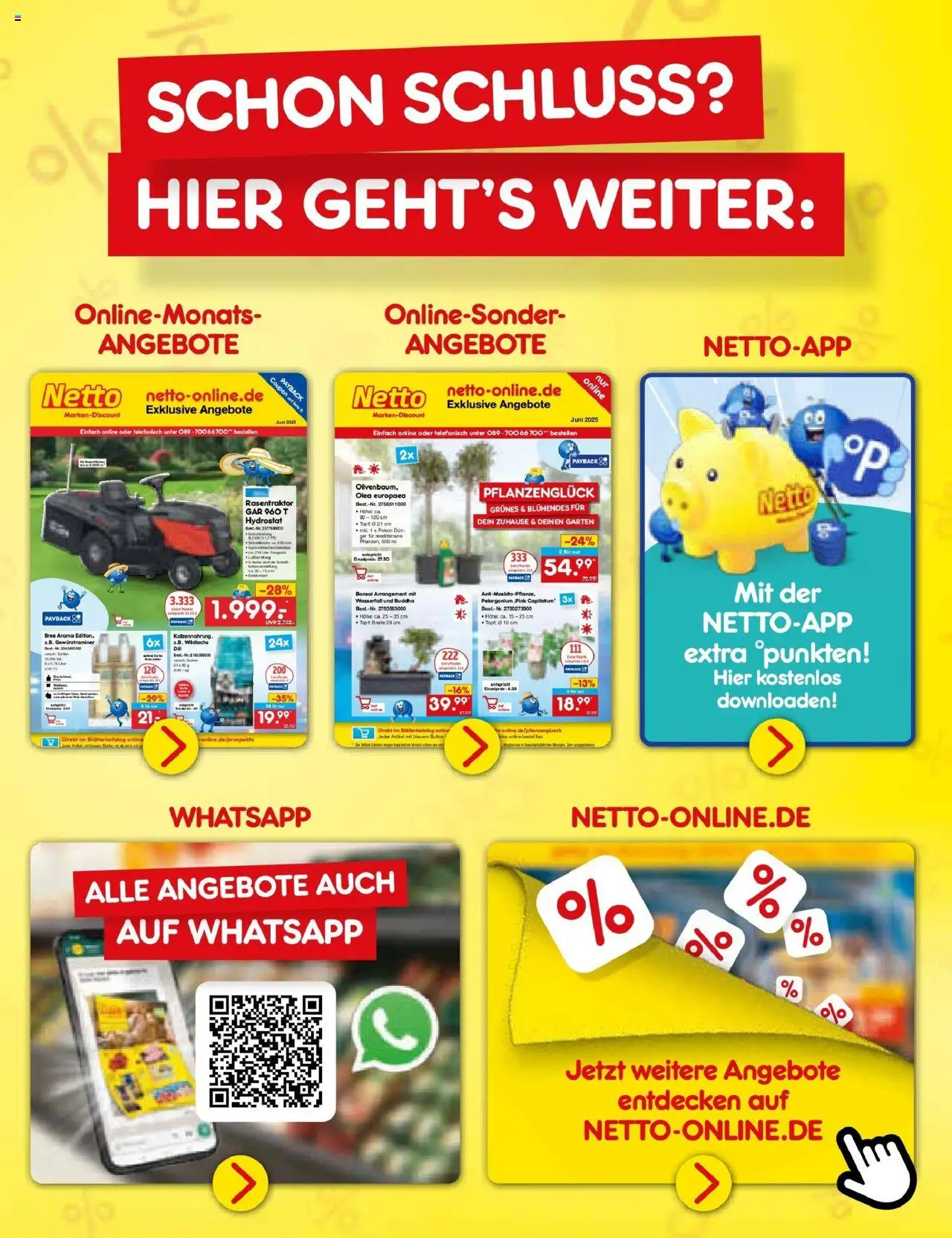Netto Marken-Discount prospekt Erfurt	 - gültig ab dem 10.06.2025 | Seite: 63