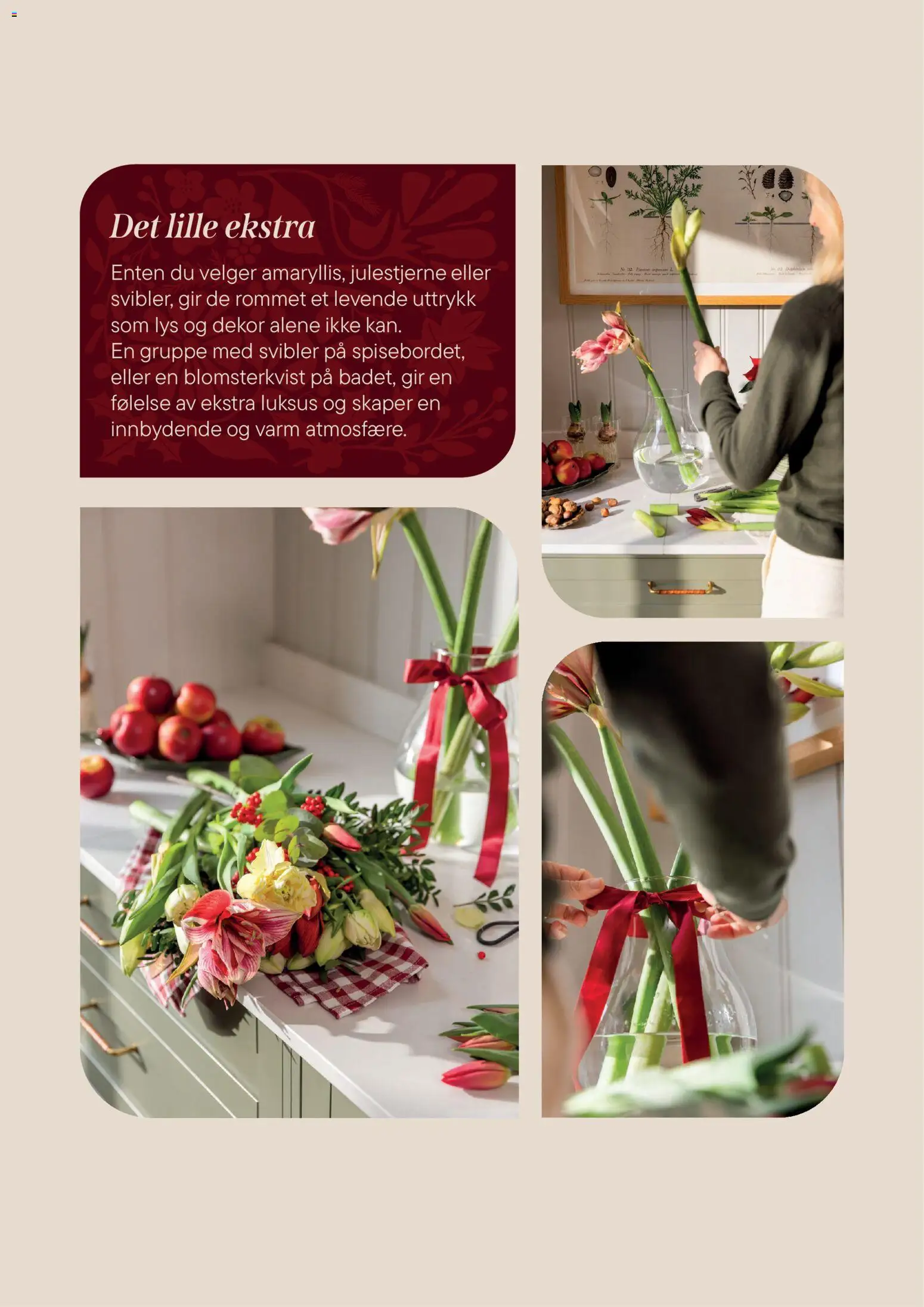 {H1} | Side: 5 | Produkter: Lys, Dekor