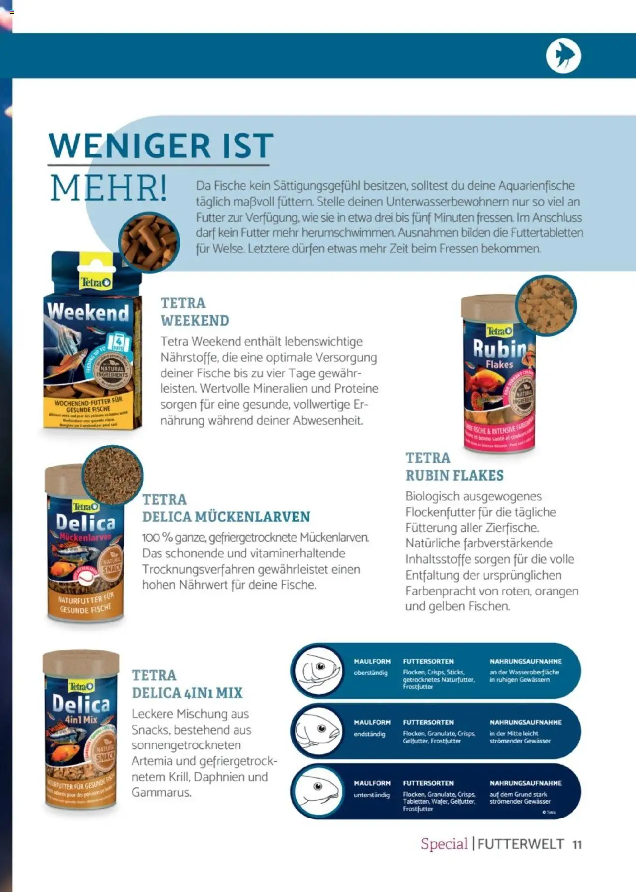 zookauf Heimtier Journal Special – gültig ab 01.09.2025 | Seite: 11 | Produkte: Orangen
