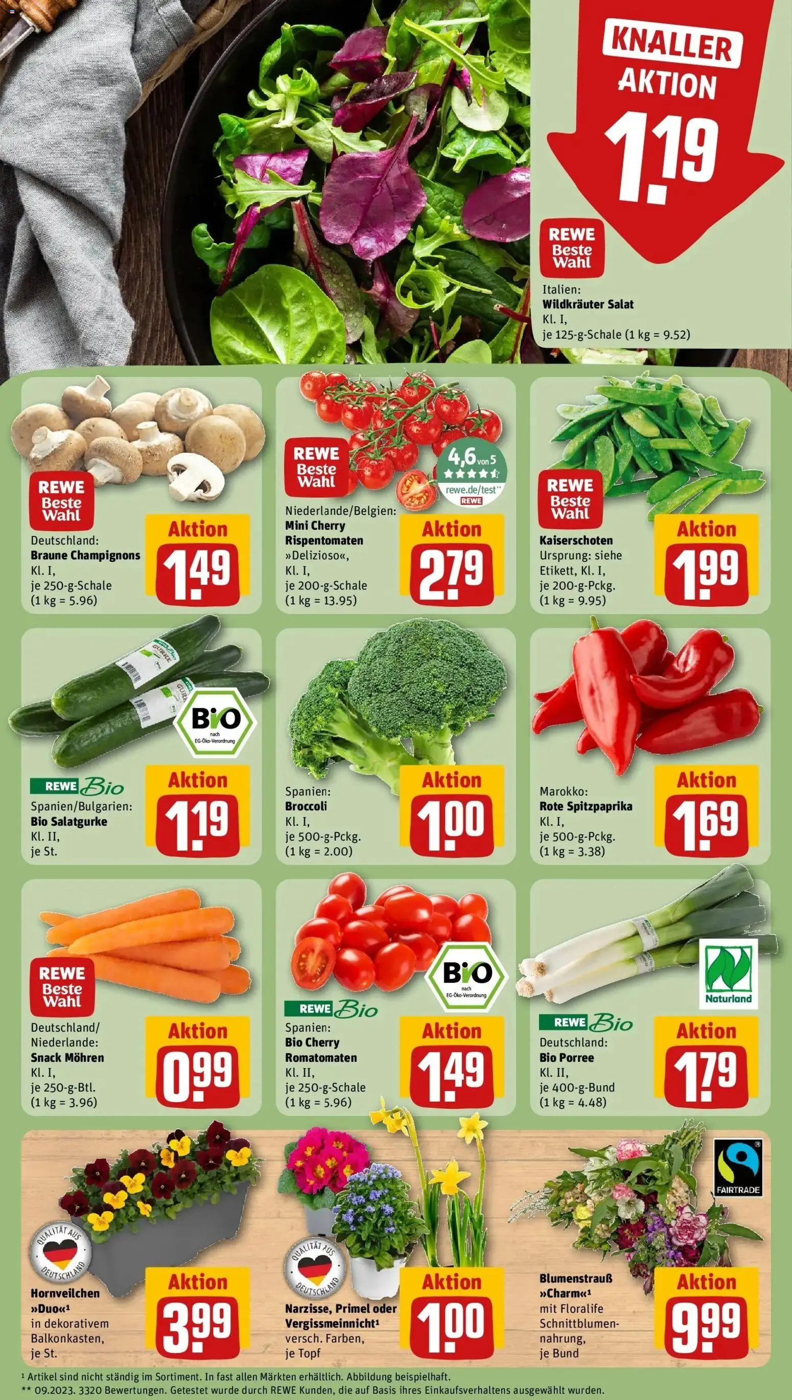 Rewe Prospekt Kelkheim/Hornau	 – gültig ab 09.03.2026 | Seite: 7 | Produkte: Mohren, Champignons, Salat