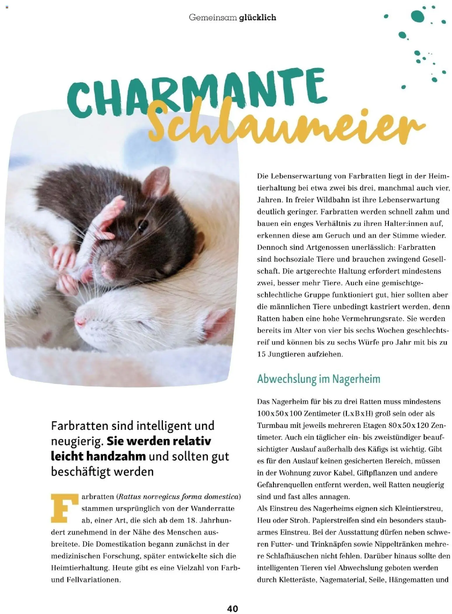 Fressnapf Friends 06/25 gültig ab 01.11.2025 | Seite: 40