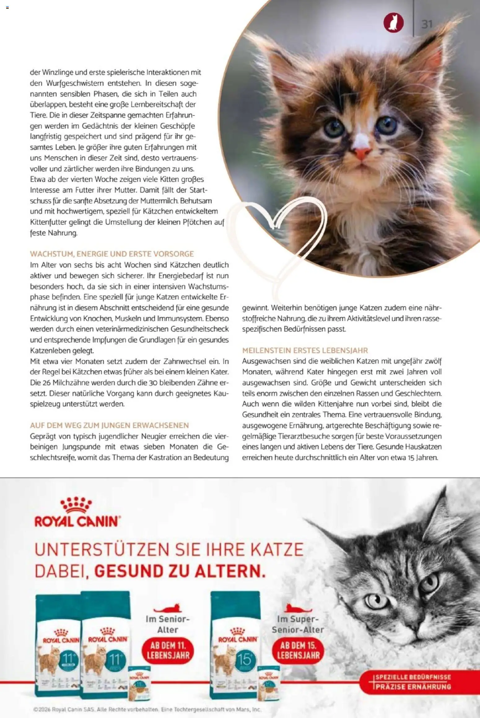 zookauf Heimtier Journal – gültig ab 01.04.2026 | Seite: 31 | Produkte: Gewicht