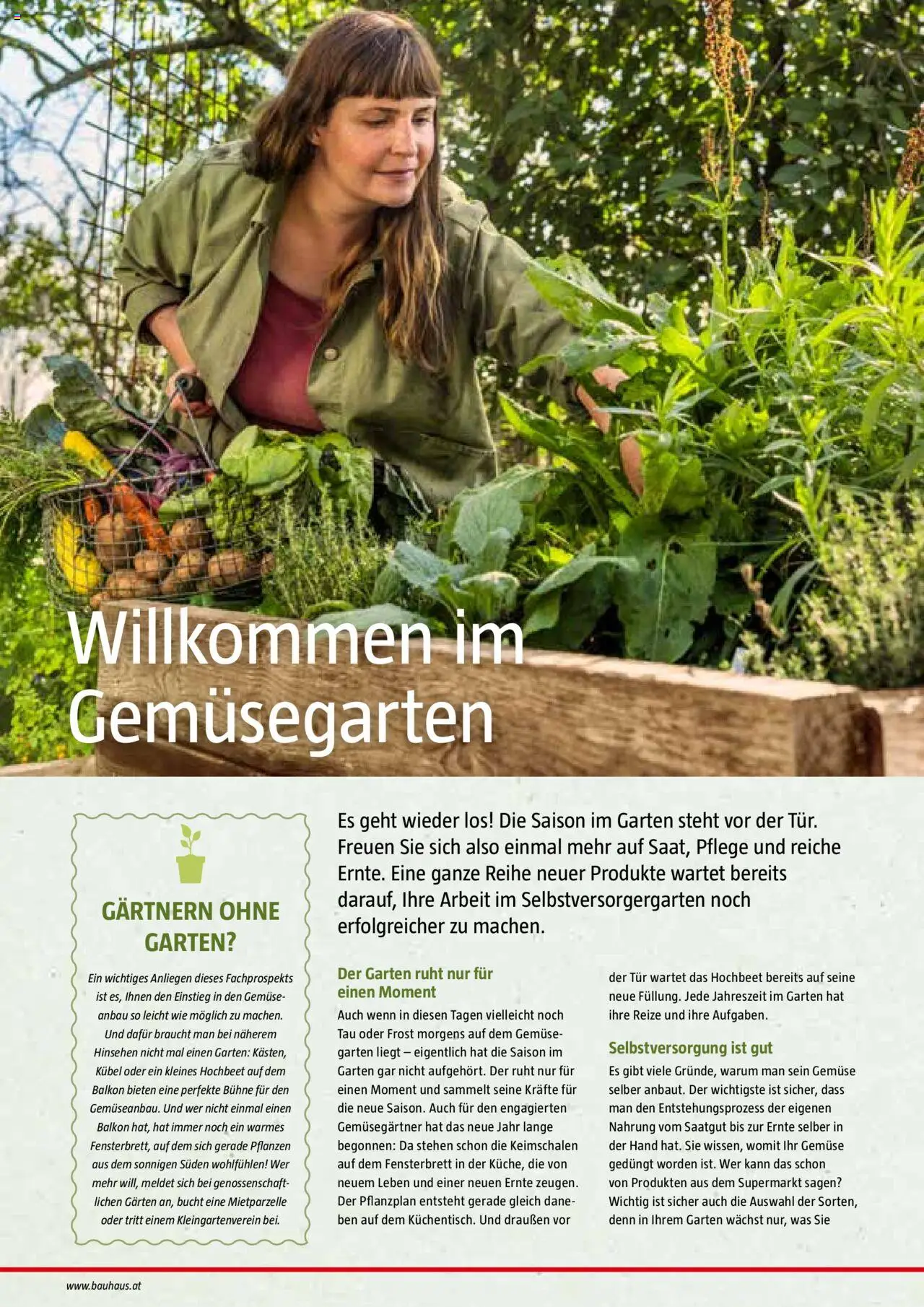 Bauhaus Reiche Ernte Magazin 2025 gültig ab 01.07.2025 | Seite: 4 | Produkte: Gemüse
