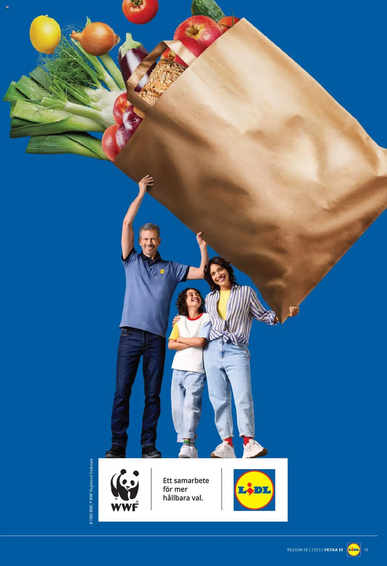 Lidl reklamblad aktuell från 11.08.2025 | Sida: 16