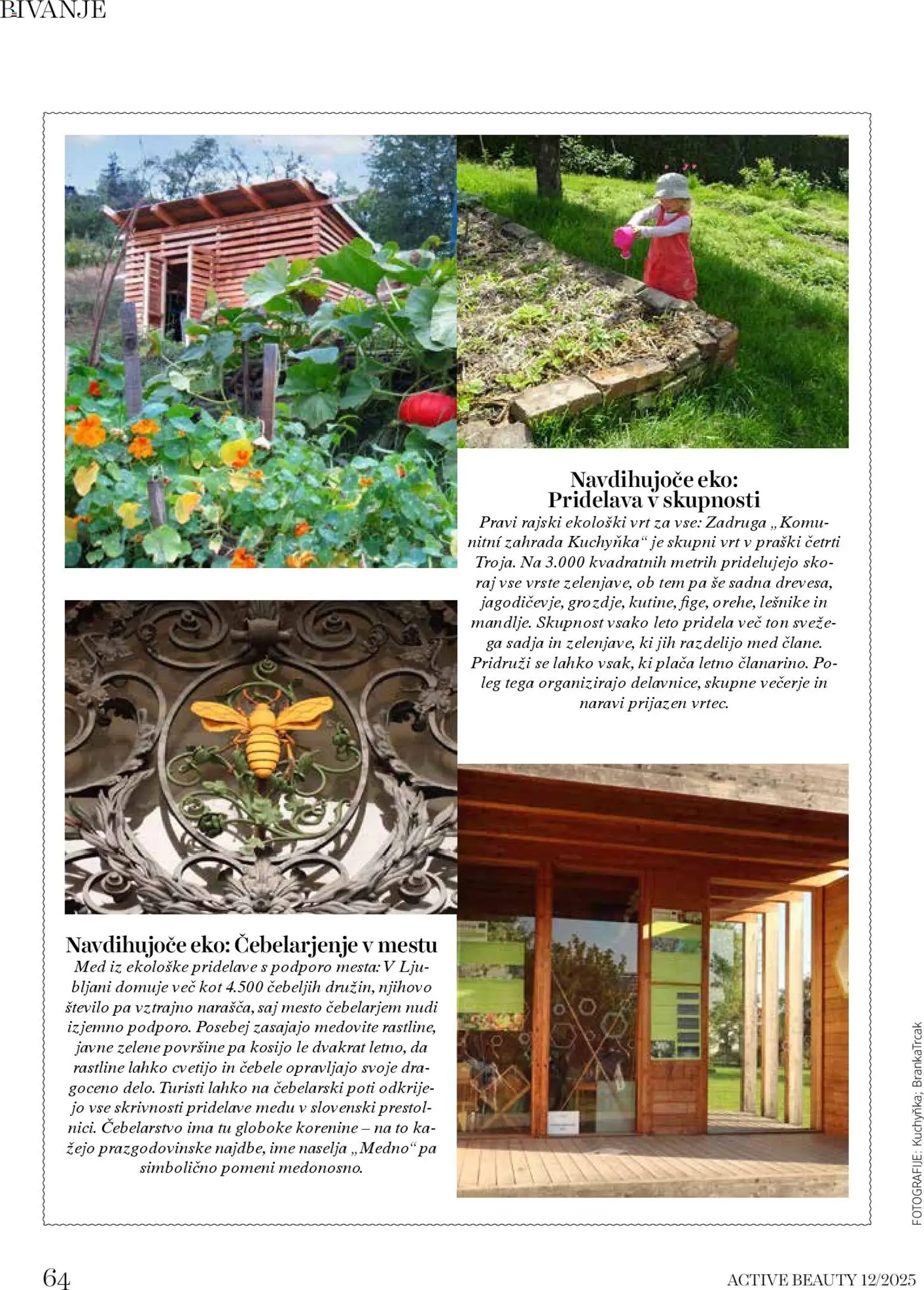 Novi DM Drogerie Markt katalog ponudbe – veljaven od 01.12.2025 | Stran: 64