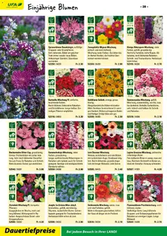 Landi ( Deaktivovane pre Letakomat )  Aktionen ab 07.01.2026 gültig | Seite: 30