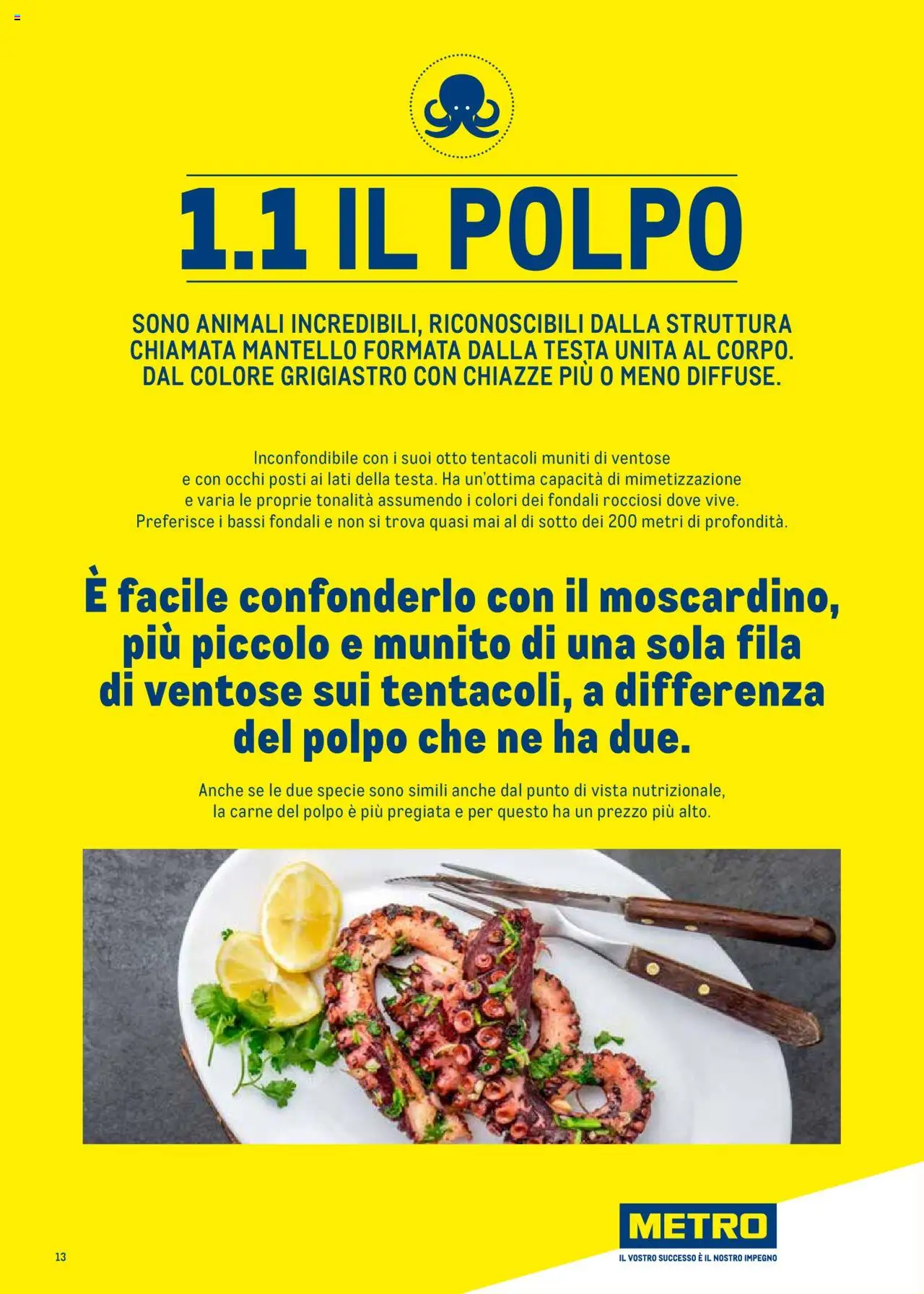 Volantino Metro del 30.06.2025 | Pagina: 13 | Prodotti: Polpo, Metro