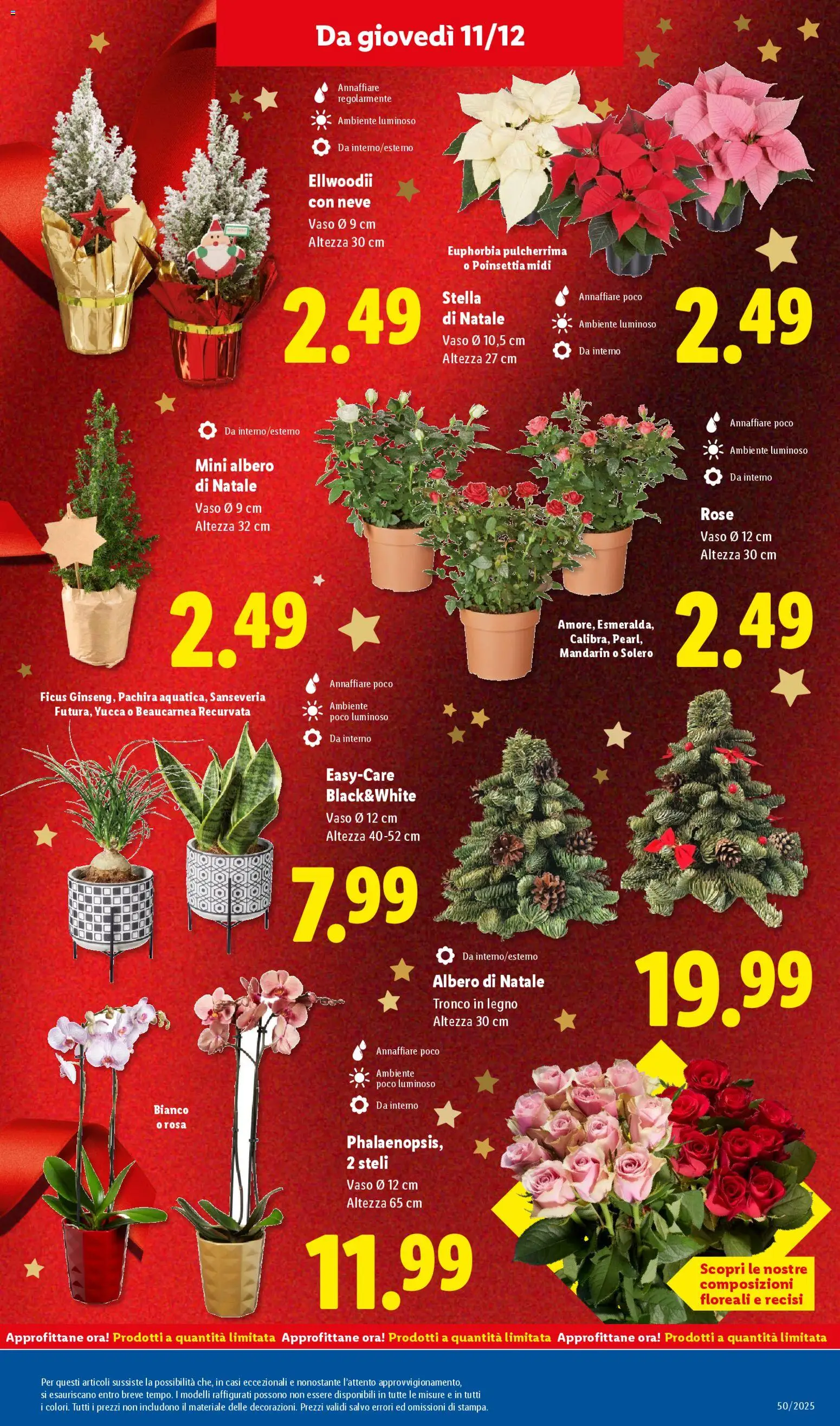 Volantino Lidl del 08.12.2025 | Pagina: 33