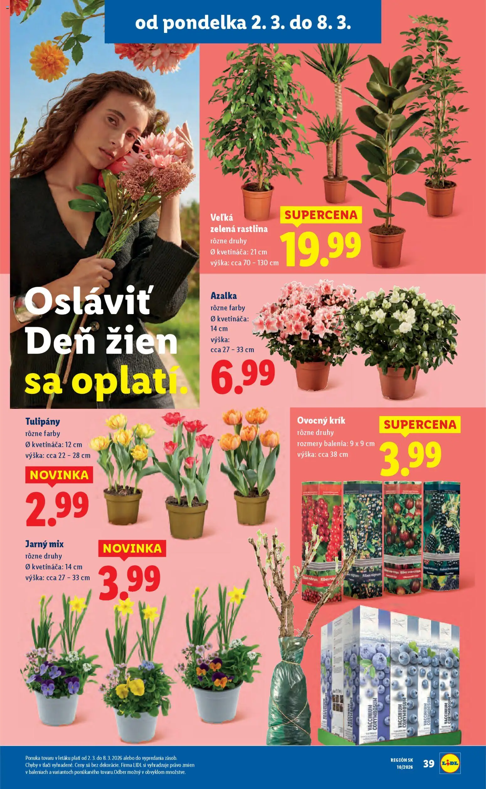 Nové Lidl akcie – leták je platný od 02.03.2026 | Strana: 49 | Produkty: Tulipány