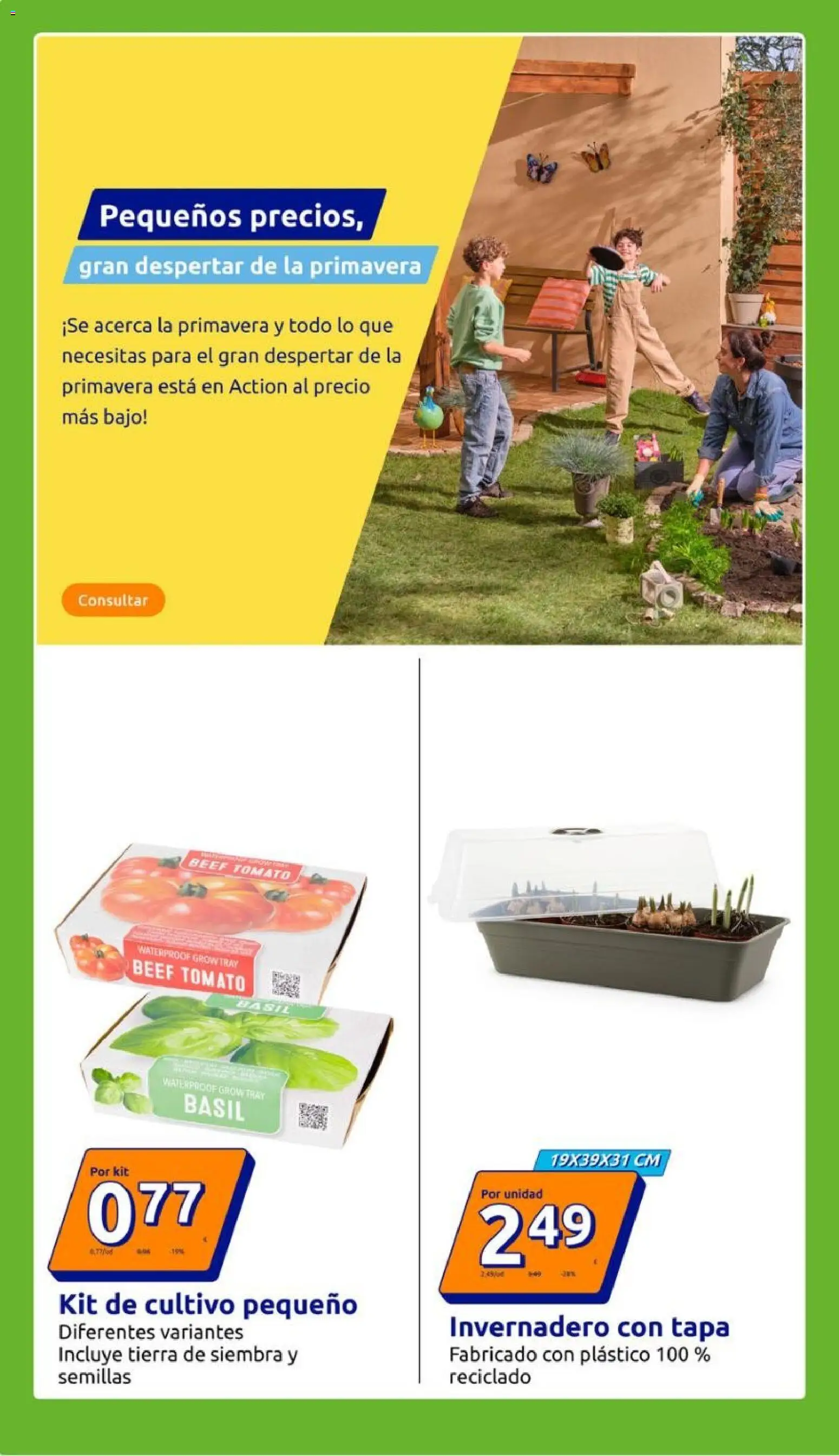 Action - Action ES week 6 2026 │ válido desde el 04.02.2026 | Página: 16