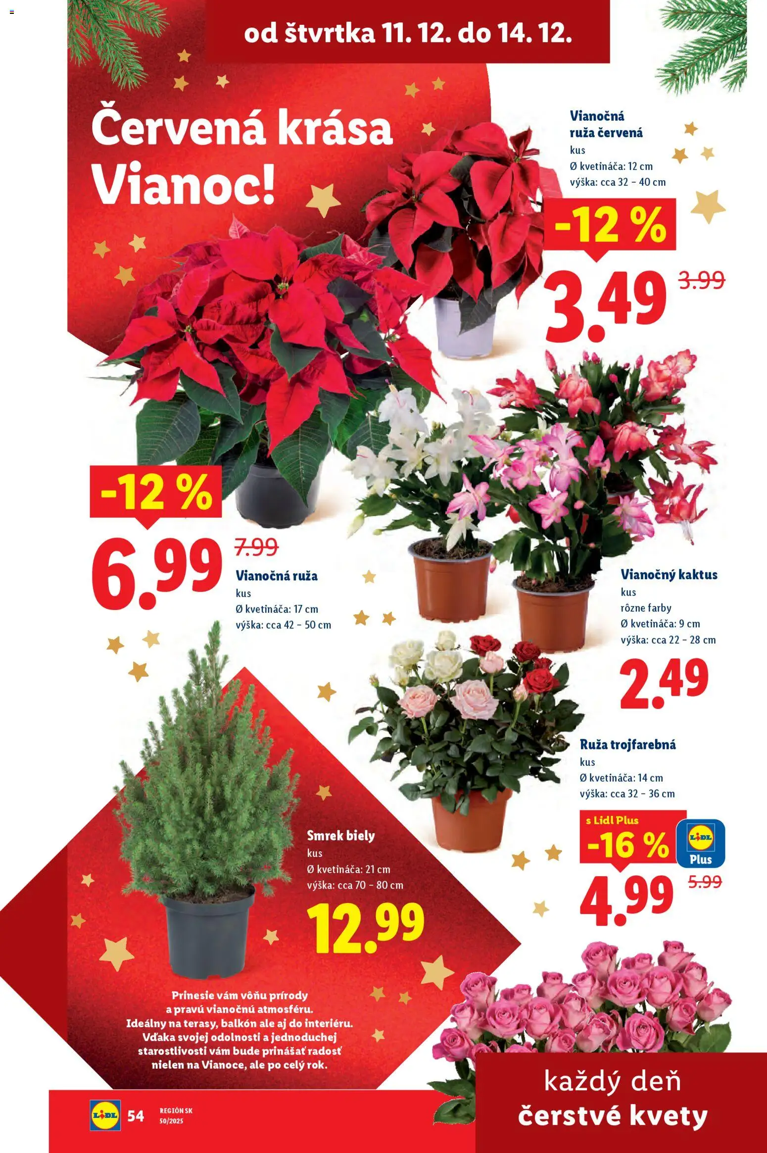 Nové Lidl akcie – leták je platný od 08.12.2025 | Strana: 83 | Produkty: Kvety