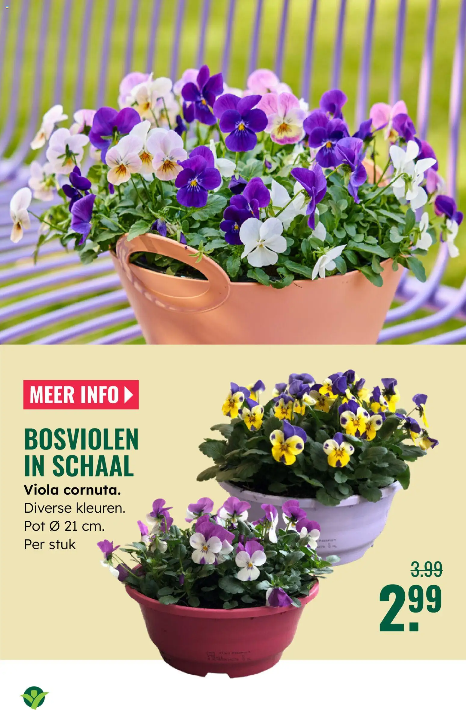 {H1} | Pagina: 6 | Producten: Pot, Schaal