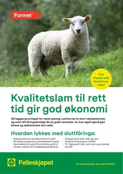Forhåndsvisning av Felleskjøpet Kvalitetslam til rett tid gir god økonomi gyldig fra 02.01.2026