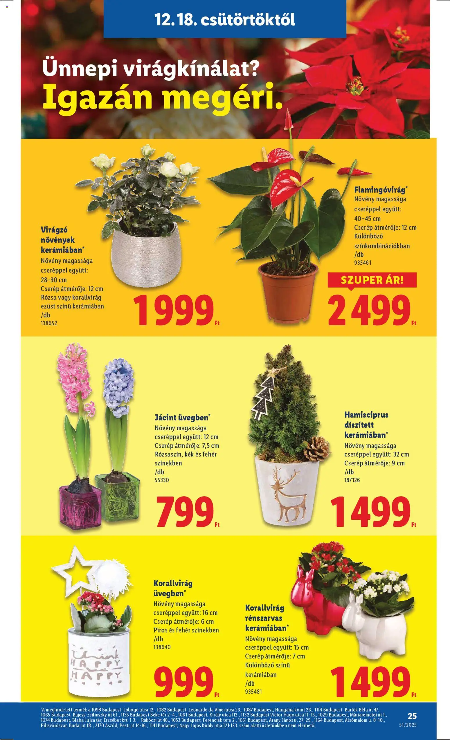 Lidl akciós ujság - amely érvényes a következő dátumtól: 18.12.2025 | Oldal: 25