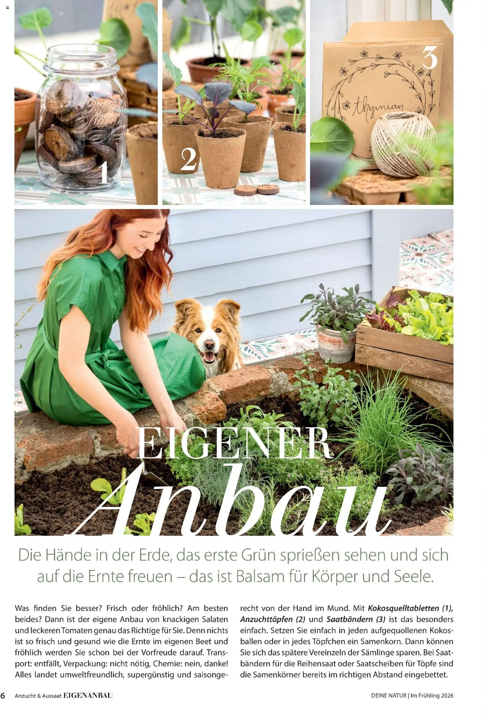 Dehner Flugblatt gültig ab 05.03.2026 | Seite: 6 | Produkte: Tomaten