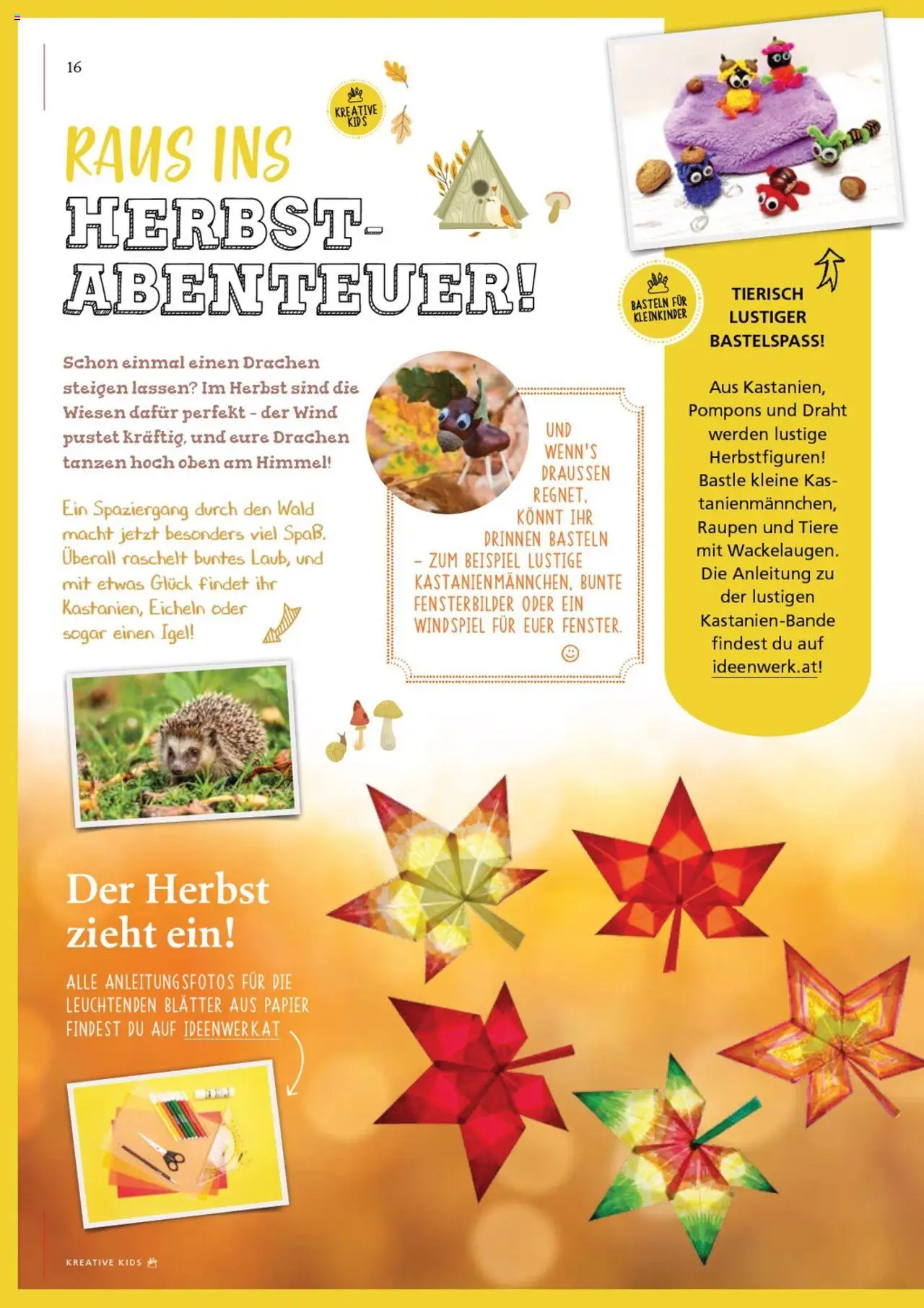 Pagro-Diskont Ideenwerk gültig ab 17.09.2025 | Seite: 16