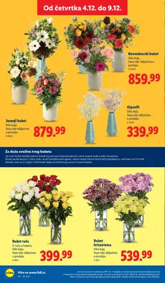 Lidl katalog - pregled Lidl kataloga - važi od 04.12.2025 | Strana: 60