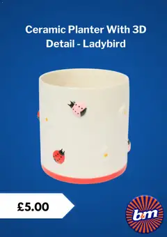 Preview of B&M - Offers valid from 25.02.2026 | Page: 4 | Products: Planter