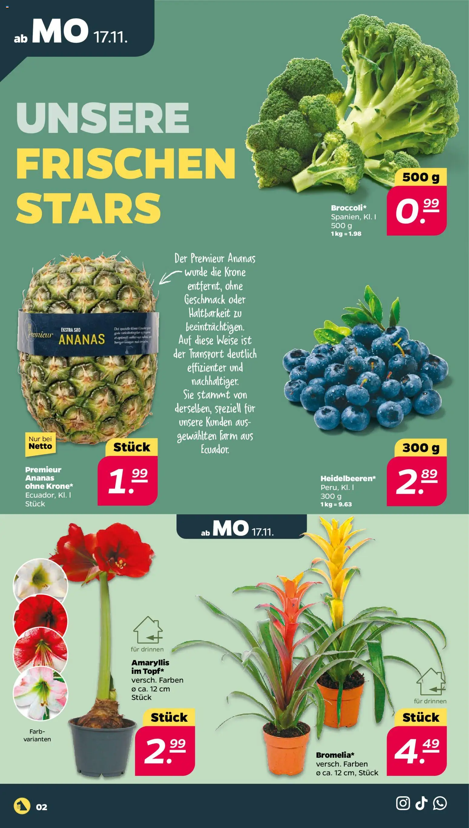 Netto Prospekt 	 – gültig ab 17.11.2025 | Seite: 2 | Produkte: Ananas