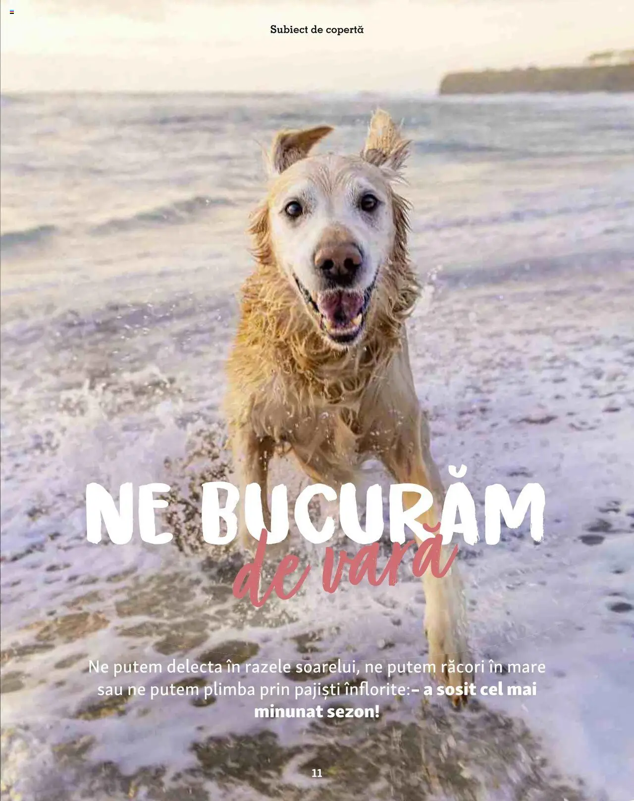 Catalog Fressnapf - Vară – valabil de la 05.05.2025 | Pagină: 11